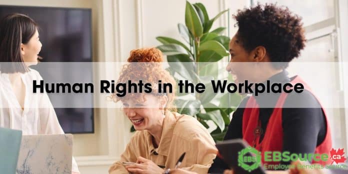 Human Rights in the Workplace. A Canadian Perspective