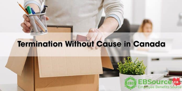 Termination Without Cause in Canada. Your Rights and What to Expect